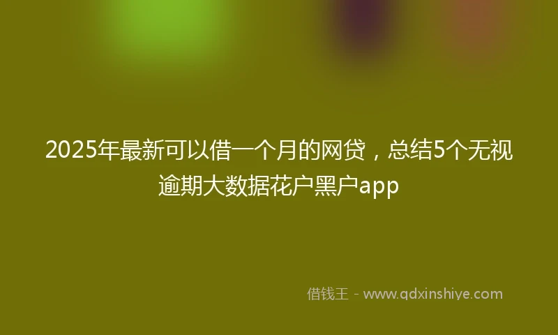 2025年最新可以借一个月的网贷，总结5个无视逾期大数据花户黑户app