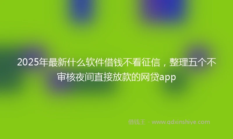 2025年最新什么软件借钱不看征信，整理五个不审核夜间直接放款的网贷app