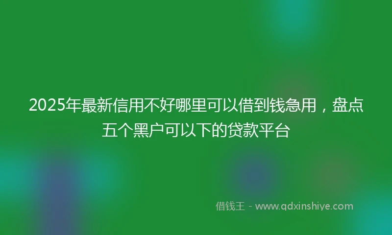 2025年最新信用不好哪里可以借到钱急用，盘点五个黑户可以下的贷款平台