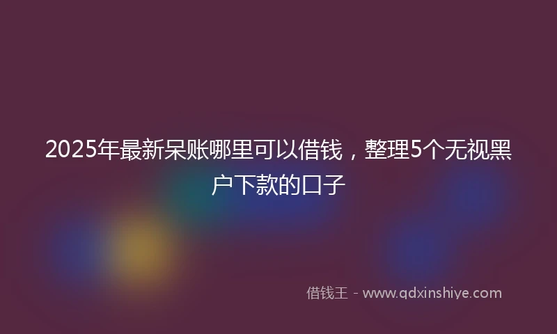 2025年最新呆账哪里可以借钱，整理5个无视黑户下款的口子
