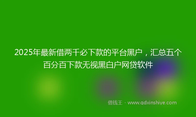 2025年最新借两千必下款的平台黑户，汇总五个百分百下款无视黑白户网贷软件