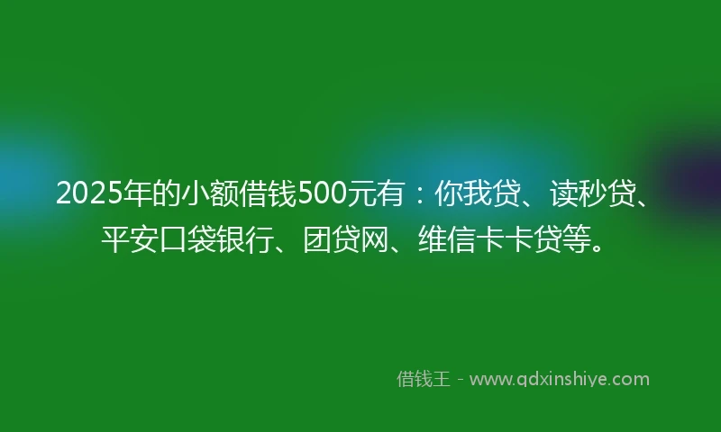 2025年的小额借钱500元有：你我贷、读秒贷、平安口袋银行、团贷网、维信卡卡贷等。