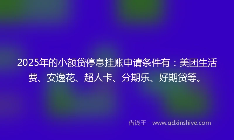 2025年的小额贷停息挂账申请条件有：美团生活费、安逸花、超人卡、分期乐、好期贷等。