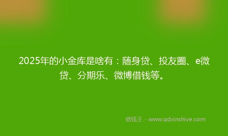 2025年的小金库是啥有：随身贷、投友圈、e微贷、分期乐、微博借钱等。