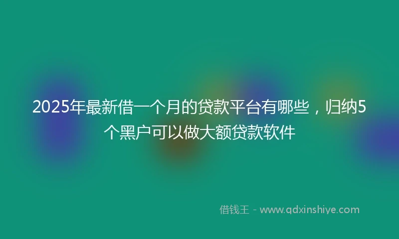 2025年最新借一个月的贷款平台有哪些，归纳5个黑户可以做大额贷款软件