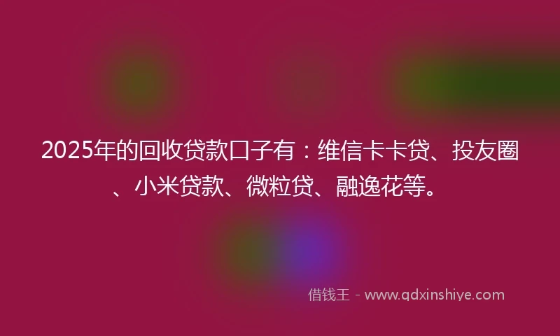 2025年的回收贷款口子有：维信卡卡贷、投友圈、小米贷款、微粒贷、融逸花等。