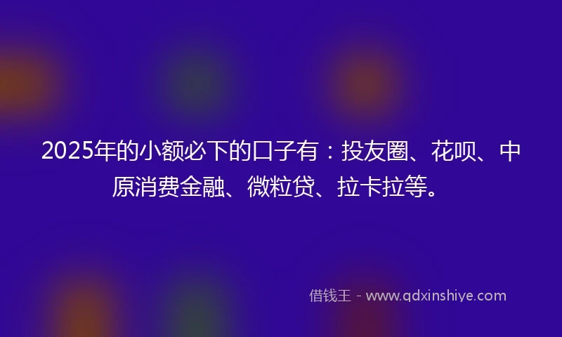 2025年的小额必下的口子有：投友圈、花呗、中原消费金融、微粒贷、拉卡拉等。