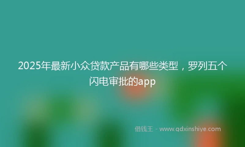 2025年最新小众贷款产品有哪些类型，罗列五个闪电审批的app