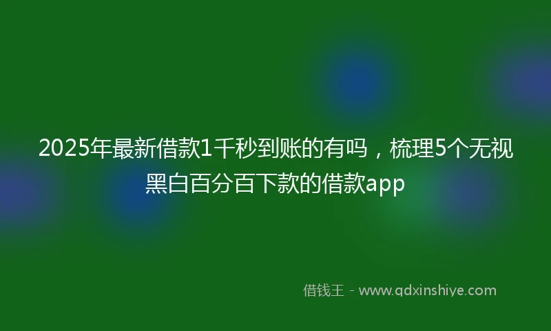 2025年最新借款1千秒到账的有吗，梳理5个无视黑白百分百下款的借款app