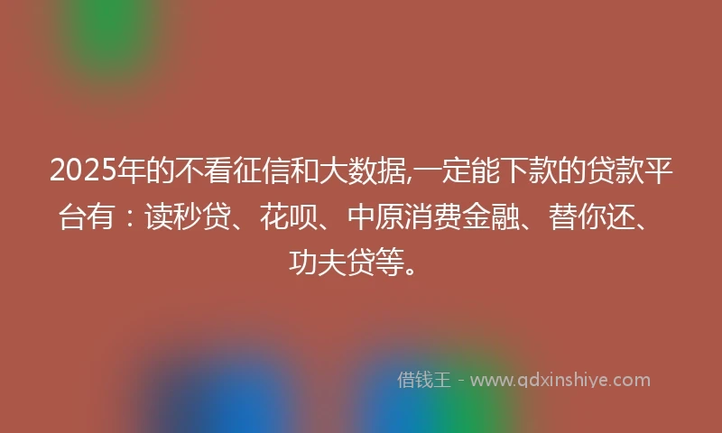 2025年的不看征信和大数据,一定能下款的贷款平台有：读秒贷、花呗、中原消费金融、替你还、功夫贷等。
