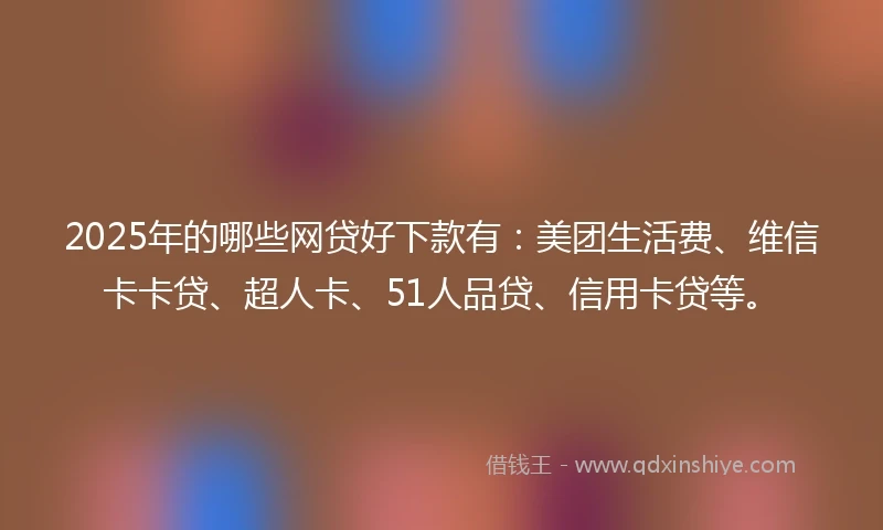 2025年的哪些网贷好下款有：美团生活费、维信卡卡贷、超人卡、51人品贷、信用卡贷等。