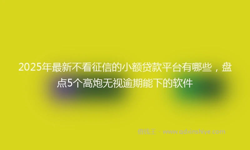 2025年最新不看征信的小额贷款平台有哪些，盘点5个高炮无视逾期能下的软件