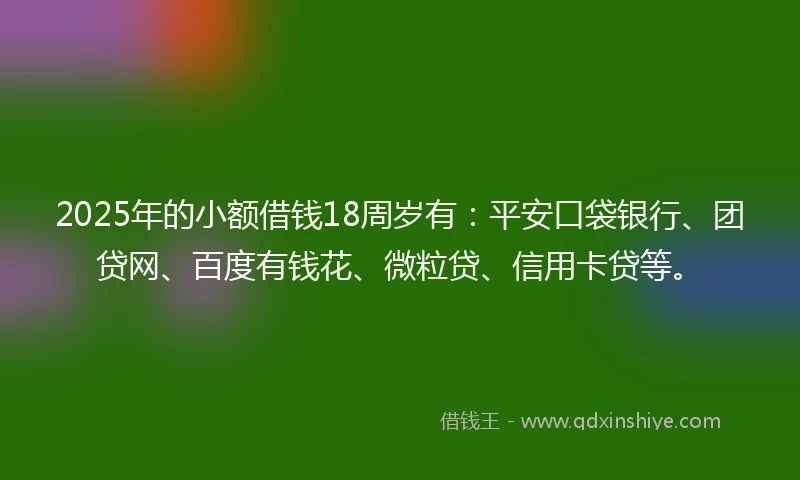 2025年的小额借钱18周岁有：平安口袋银行、团贷网、百度有钱花、微粒贷、信用卡贷等。
