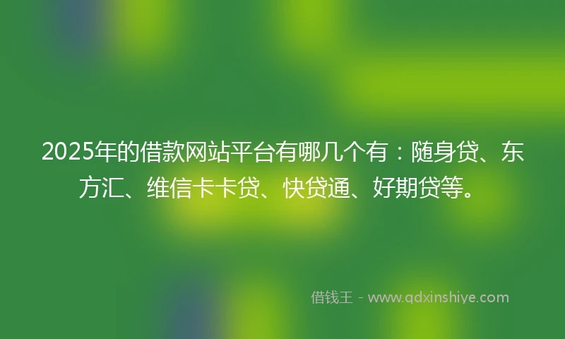 2025年的借款网站平台有哪几个有：随身贷、东方汇、维信卡卡贷、快贷通、好期贷等。