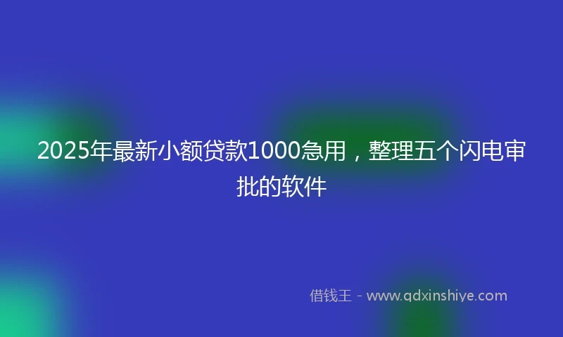 2025年最新小额贷款1000急用，整理五个闪电审批的软件