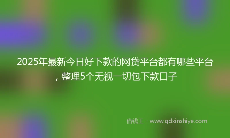 2025年最新今日好下款的网贷平台都有哪些平台，整理5个无视一切包下款口子