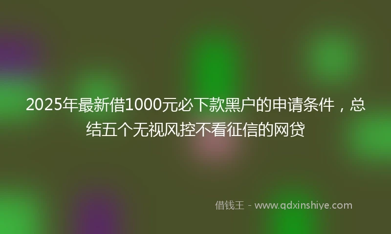 2025年最新借1000元必下款黑户的申请条件，总结五个无视风控不看征信的网贷