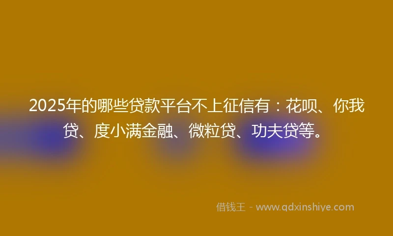 2025年的哪些贷款平台不上征信有：花呗、你我贷、度小满金融、微粒贷、功夫贷等。
