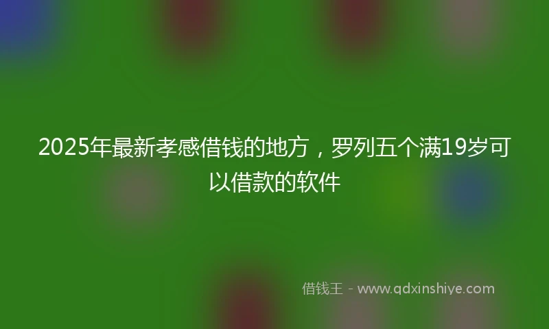2025年最新孝感借钱的地方，罗列五个满19岁可以借款的软件