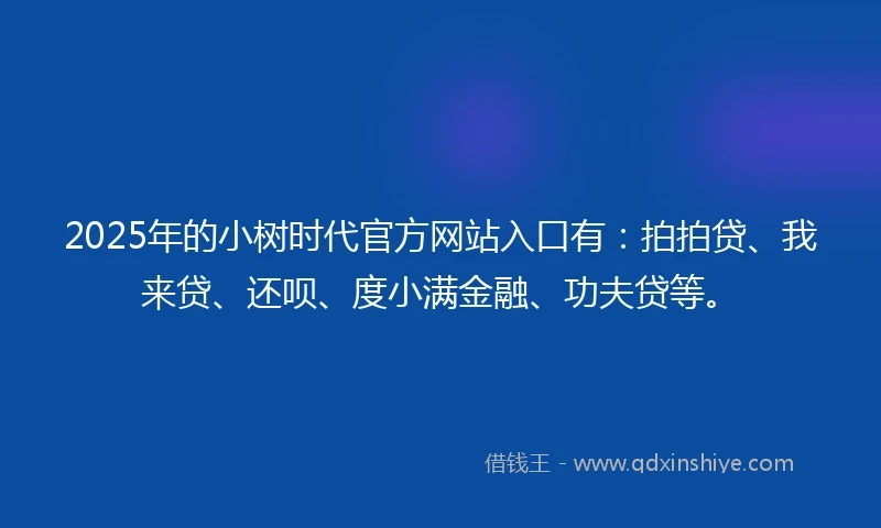 2025年的小树时代官方网站入口有：拍拍贷、我来贷、还呗、度小满金融、功夫贷等。
