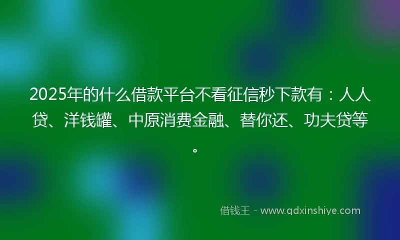 2025年的什么借款平台不看征信秒下款有：人人贷、洋钱罐、中原消费金融、替你还、功夫贷等。