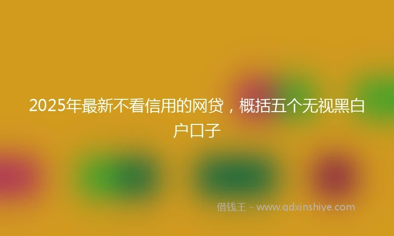 2025年最新不看信用的网贷，概括五个无视黑白户口子
