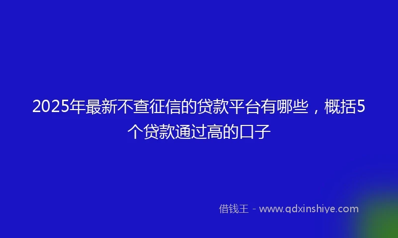 2025年最新不查征信的贷款平台有哪些，概括5个贷款通过高的口子
