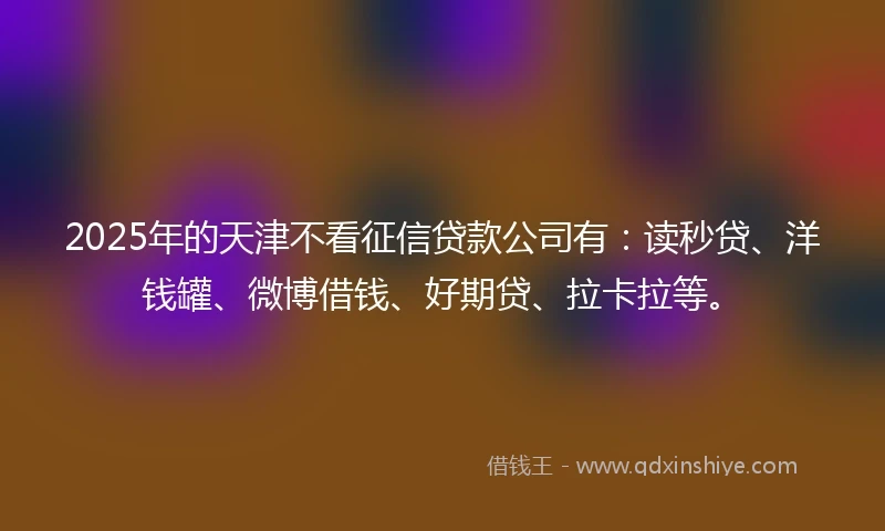 2025年的天津不看征信贷款公司有：读秒贷、洋钱罐、微博借钱、好期贷、拉卡拉等。