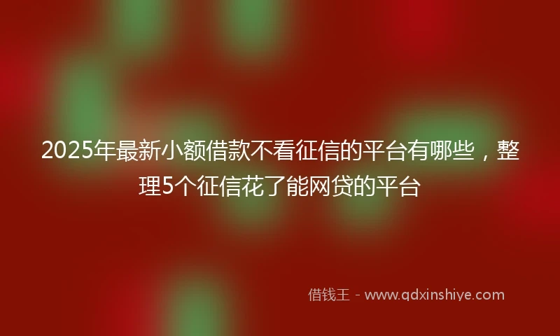 2025年最新小额借款不看征信的平台有哪些，整理5个征信花了能网贷的平台