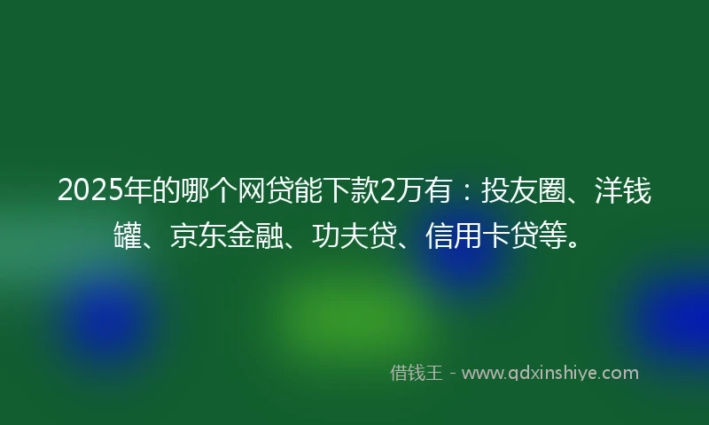 2025年的哪个网贷能下款2万有：投友圈、洋钱罐、京东金融、功夫贷、信用卡贷等。
