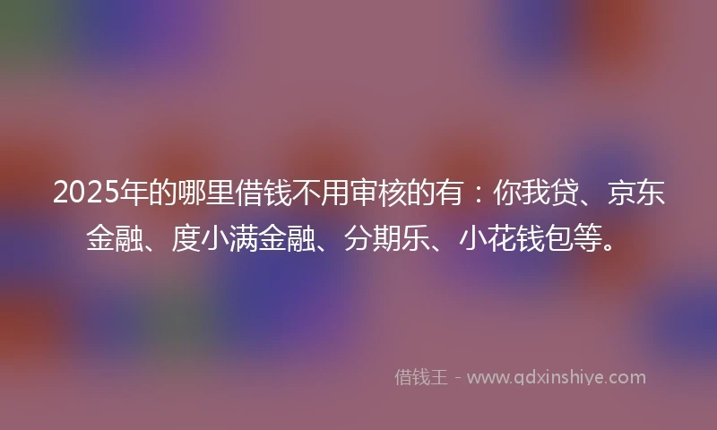 2025年的哪里借钱不用审核的有：你我贷、京东金融、度小满金融、分期乐、小花钱包等。