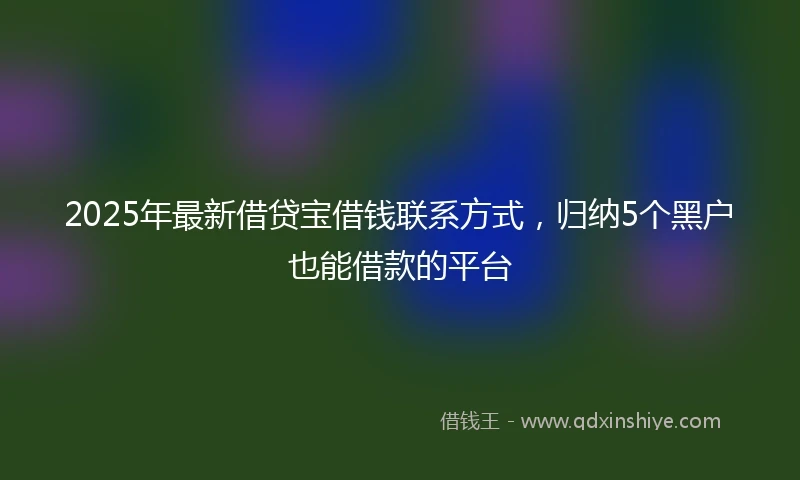 2025年最新借贷宝借钱联系方式，归纳5个黑户也能借款的平台