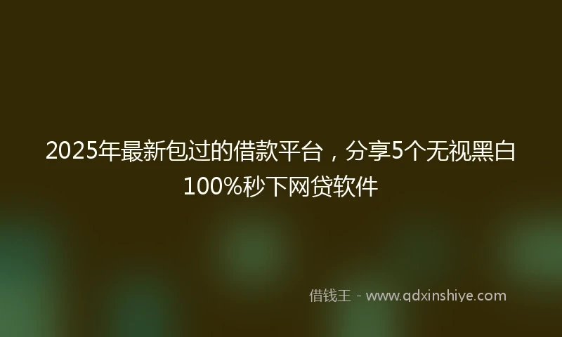2025年最新包过的借款平台，分享5个无视黑白100%秒下网贷软件