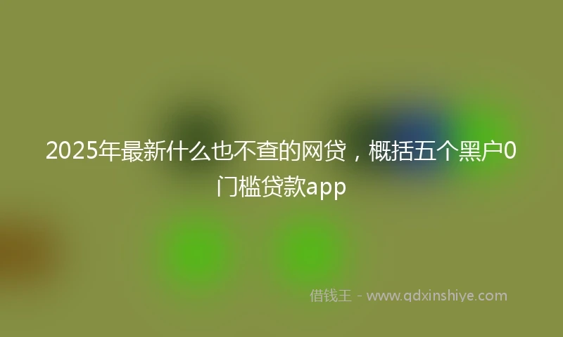 2025年最新什么也不查的网贷，概括五个黑户0门槛贷款app