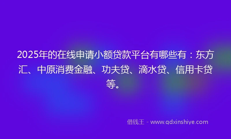 2025年的在线申请小额贷款平台有哪些有：东方汇、中原消费金融、功夫贷、滴水贷、信用卡贷等。