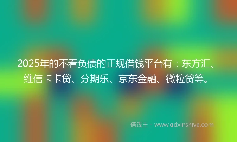 2025年的不看负债的正规借钱平台有：东方汇、维信卡卡贷、分期乐、京东金融、微粒贷等。