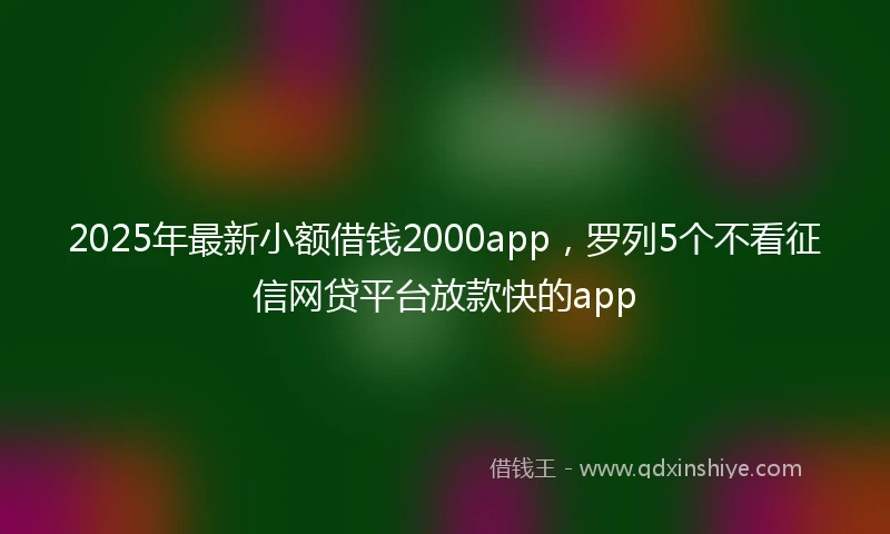 2025年最新小额借钱2000app，罗列5个不看征信网贷平台放款快的app