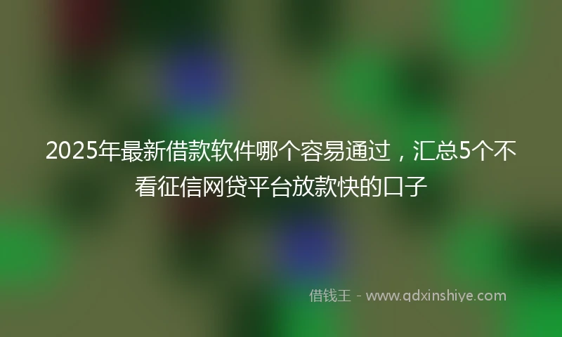2025年最新借款软件哪个容易通过，汇总5个不看征信网贷平台放款快的口子