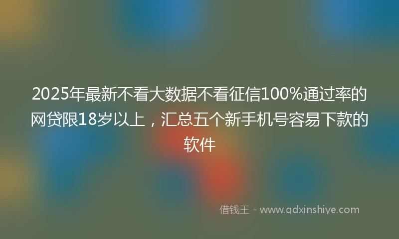 2025年最新不看大数据不看征信100%通过率的网贷限18岁以上，汇总五个新手机号容易下款的软件