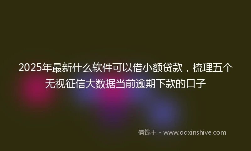 2025年最新什么软件可以借小额贷款，梳理五个无视征信大数据当前逾期下款的口子