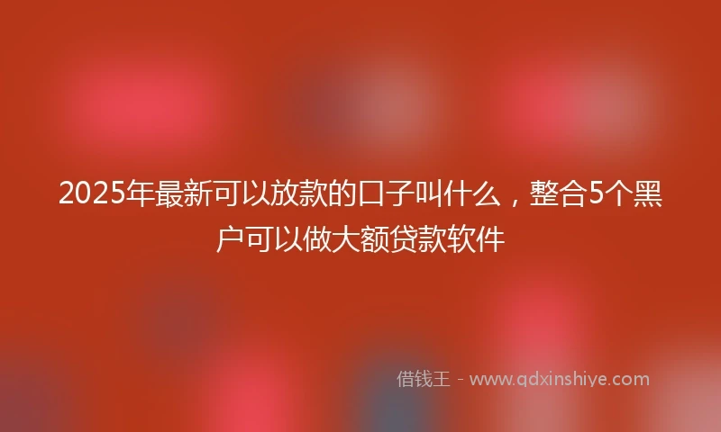 2025年最新可以放款的口子叫什么，整合5个黑户可以做大额贷款软件