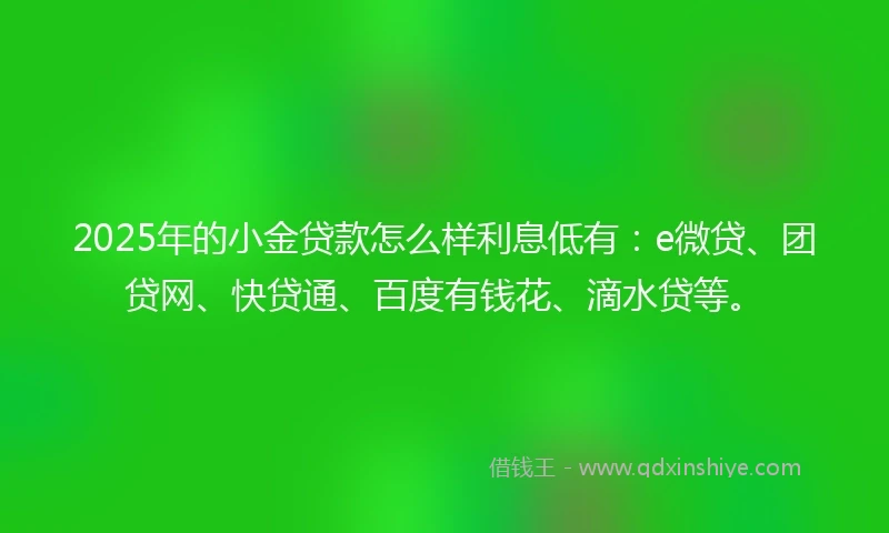 2025年的小金贷款怎么样利息低有：e微贷、团贷网、快贷通、百度有钱花、滴水贷等。