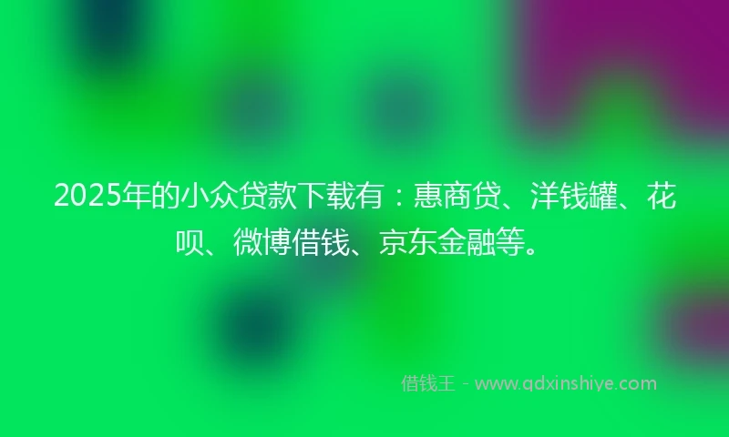 2025年的小众贷款下载有：惠商贷、洋钱罐、花呗、微博借钱、京东金融等。
