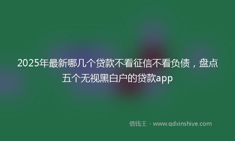 2025年最新哪几个贷款不看征信不看负债，盘点五个无视黑白户的贷款app