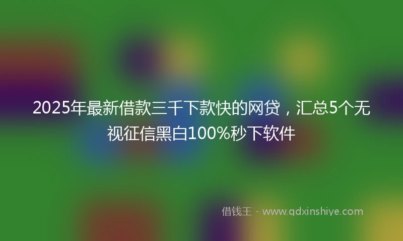 2025年最新借款三千下款快的网贷，汇总5个无视征信黑白100%秒下软件