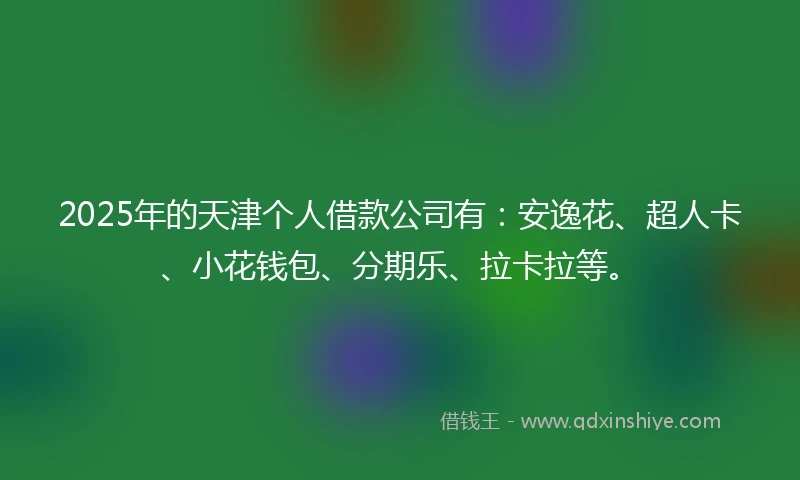 2025年的天津个人借款公司有：安逸花、超人卡、小花钱包、分期乐、拉卡拉等。