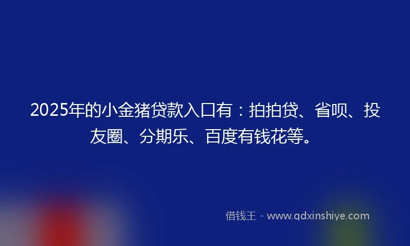 2025年的小金猪贷款入口有：拍拍贷、省呗、投友圈、分期乐、百度有钱花等。