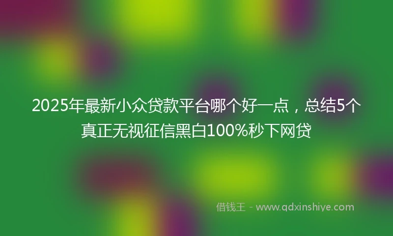 2025年最新小众贷款平台哪个好一点，总结5个真正无视征信黑白100%秒下网贷