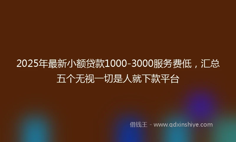2025年最新小额贷款1000-3000服务费低,汇总五个无视一切是人就下款平台