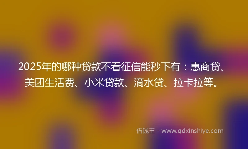 2025年的哪种贷款不看征信能秒下有：惠商贷、美团生活费、小米贷款、滴水贷、拉卡拉等。
